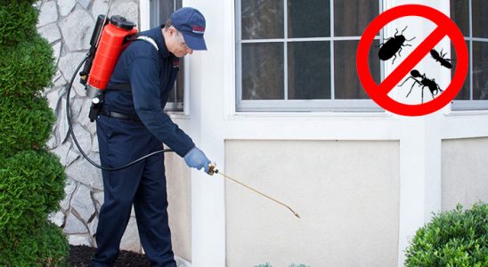 Taraklı Hamam Böceği İlaçlama böcek ilaçlama ve haşere kontrolü — ilaclama-tr.com